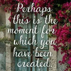 Meet your Posher, Janette